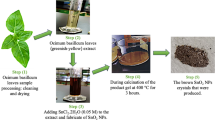 Green synthesis of TiO2 nanoparticles using Kinnow peel extracts and ...