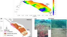 research proposal on unmanned aerial vehicles