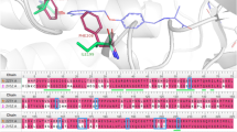 essay for molecular structure