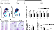  pedomom mir 22 pedomom mir 17 Overexpression of miR-22-3p and miR-29c-3p in CFU-Hill colonies is related  to senescence process among children with low birth weight | Pediatric  Research