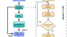 MHF-UIE a multi-task hybrid fusion method for real-world underwater ...
