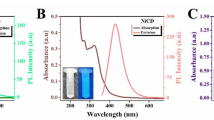 S,N-doped carbon dots as a fluorescent probe for bilirubin ...