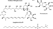 ABSTRACT RECENT reviews1–3 on the treatment of _Trypanosoma cruzi_ infections (Chagas's disease, South American trypanosomiasis) in man emphasize the lack of a satisfactory mode of therapy. Access through your institution Buy or subscribe This is a preview of subscription content, access via your institution ACCESS OPTIONS Access through your institution Subscribe to this journal Receive 51 print issues and online access $199.00 per year only $3.90 per issue Learn more Buy this article * Purchase on SpringerLink * Instant access to full article PDF Buy now Prices may be subject to local taxes which are calculated during checkout ADDITIONAL ACCESS OPTIONS: * Log in * Learn about institutional subscriptions * Read our FAQs * Contact customer support SIMILAR CONTENT BEING VIEWED BY OTHERS SYNTHESIS AND EVALUATION OF NITROCHROMENE DERIVATIVES AS POTENTIAL ANTILEISHMANIAL THERAPEUTICS THROUGH BIOLOGICAL AND COMPUTATIONAL STUDIES Article Open access 20 January 2025 SCREENING OF THE ANTILEISHMANIAL AND ANTIPLASMODIAL POTENTIAL OF SYNTHETIC 2-ARYLQUINOLINE ANALOGS Article Open access 16 October 2023 ANTIPLASMODIAL ACTIVITY, STRUCTURE–ACTIVITY RELATIONSHIP AND STUDIES ON THE ACTION OF NOVEL BENZIMIDAZOLE DERIVATIVES Article Open access 06 January 2023 REFERENCES * _World Health Org. Tech. Rep. Ser._ No. 202 (Geneva, 1960). * Kollert, W., _Clinical Excerpts_, 26, 89 (June, 1960) (Bayer, Leverkusen, Germany). Google Scholar  * Hawking, F., in _Experimental Chemotherapy_, edit. by Schnitzer, R. J., and Hawking, F., 1, 129 (Academic Press, New York, 1963). Book  Google Scholar  * Hewitt, R., Entwistle, J., and Gill, E., _J. Parasit._, 49, 22 (1963). Article  CAS  Google Scholar  * Pizzi, T., _Proc. Soc. Exp. Biol. and Med._, 78, 643 (1951). Article  CAS  Google Scholar  * Moraes, G. E. S., Faria, J. L., and Fernandes, J. F., _Rev. Inst. Med. trop. Sao Paulo_, 2, 147 (1960). CAS  Google Scholar  * Moon, A. P., and Coleman, J. F., _Bol. Chil. Parasit._, 17, 63 (1962). CAS  Google Scholar  Download references AUTHOR INFORMATION AUTHORS AND AFFILIATIONS * Organic Chemical Research Section and Experimental Therapeutics Research Section, Lederle Laboratories Division, American Cyanamid Co., Pearl River, New York ANDREW S. TOMCUFCIK, REDGINAL I. HEWITT, PAUL F. FABIO, ARLENE M. HOFFMAN & JOSEPH ENTWISTLE Authors * ANDREW S. TOMCUFCIK View author publications You can also search for this author inPubMed Google Scholar * REDGINAL I. HEWITT View author publications You can also search for this author inPubMed Google Scholar * PAUL F. FABIO View author publications You can also search for this author inPubMed Google Scholar * ARLENE M. HOFFMAN View author publications You can also search for this author inPubMed Google Scholar * JOSEPH ENTWISTLE View author publications You can also search for this author inPubMed Google Scholar RIGHTS AND PERMISSIONS Reprints and permissions ABOUT THIS ARTICLE CITE THIS ARTICLE TOMCUFCIK, A., HEWITT, R., FABIO, P. _et al._ _N_4-substituted _N_1-(3-Dimethylaminopropyl)-piperazines : a New Series of Compounds active against _Trypanosoma cruzi_ Infections in Mice. _Nature_ 205, 605–606 (1965). https://doi.org/10.1038/205605b0 Download citation * Issue Date: 06 February 1965 * DOI: https://doi.org/10.1038/205605b0 SHARE THIS ARTICLE Anyone you share the following link with will be able to read this content: Get shareable link Sorry, a shareable link is not currently available for this article. Copy to clipboard Provided by the Springer Nature SharedIt content-sharing initiative