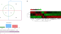 ABSTRACT The c-myc nuclear associated oncoprotein has been quantitated simultaneously with DNA in nuclei extracted from archival biopsies of uterine cervix neoplasia. The oncoprotein and DNA were measured fluorimetrically in a flow cytometer using a mouse monoclonal antibody (MYC 1-6E10) and propidium iodide. Normal biopsies exhibited higher oncoprotein levels than carcinomas (P less than 0.00001). Furthermore, the maximum fluorescence signal in the normal tissue occurred at a lower antibody concentration compared with tumour tissue. There was no correlation between oncoprotein levels and histological grade, stage of disease, age of the patients or prognosis in the carcinomas. Aneuploidy, defined as a distinct second peak separate from the diploid distribution, was not a significant feature. The c-myc oncoprotein nuclear content does not appear to be a prognostic indicator in carcinoma of the cervix from the results of these studies but there is clearly diagnostic potential, particularly for automated analysis of cervical screening. Access through your institution Buy or subscribe This is a preview of subscription content, access via your institution ACCESS OPTIONS Access through your institution Subscribe to this journal Receive 24 print issues and online access $259.00 per year only $10.79 per issue Learn more Buy this article * Purchase on SpringerLink * Instant access to full article PDF Buy now Prices may be subject to local taxes which are calculated during checkout ADDITIONAL ACCESS OPTIONS: * Log in * Learn about institutional subscriptions * Read our FAQs * Contact customer support SIMILAR CONTENT BEING VIEWED BY OTHERS LEUKOCYTE-SPECIFIC PROTEIN 1 IS ASSOCIATED WITH THE STAGE AND TUMOR IMMUNE INFILTRATION OF CERVICAL CANCER Article Open access 04 March 2025 HUMAN PAPILLOMAVIRUS INFECTION OF THE FALLOPIAN TUBE AS A POTENTIAL RISK FACTOR FOR EPITHELIAL OVARIAN CANCER Article Open access 16 September 2024 DISTRIBUTION OF ESTROGEN RECEPTOR IN THE RABBIT CERVIX DURING PREGNANCY WITH SPECIAL REFERENCE TO STROMAL ELEMENTS: AN IMMUNOHISTOCHEMICAL STUDY Article Open access 12 August 2020 Authors * P Hendy-Ibbs View author publications You can also search for this author inPubMed Google Scholar * H Cox View author publications You can also search for this author inPubMed Google Scholar * GI Evan View author publications You can also search for this author inPubMed Google Scholar * JV Watson View author publications You can also search for this author inPubMed Google Scholar RIGHTS AND PERMISSIONS Reprints and permissions ABOUT THIS ARTICLE CITE THIS ARTICLE Hendy-Ibbs, P., Cox, H., Evan, G. _et al._ Flow cytometric quantitation of DNA and c-_myc_ oncoprotein in archival biopsies of uterine cervix neoplasia. _Br J Cancer_ 55, 275–282 (1987). https://doi.org/10.1038/bjc.1987.53 Download citation * Issue Date: 01 March 1987 * DOI: https://doi.org/10.1038/bjc.1987.53 SHARE THIS ARTICLE Anyone you share the following link with will be able to read this content: Get shareable link Sorry, a shareable link is not currently available for this article. Copy to clipboard Provided by the Springer Nature SharedIt content-sharing initiative