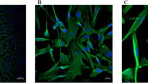 nicotine glutathione Mechanisms for redox actions of nicotine and glutathione in cell culture,  relevant to periodontitis