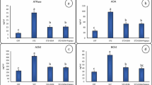 citalopram and semaglutide Can you take Wegovy with depression?  - Citalopram is used
