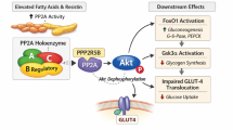 glutathion diabetes Multiple therapeutic targets of plant secondary metabolites in Solved Compare and contrast the