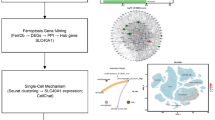 glutathione lowers cholesterol Glutathione system enhancement for cardiac protection: pharmacological  options against oxidative stress and ferroptosis