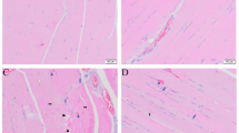 bpc 157 pdf Pentadecapeptide Beneficially Influences the Healing of Colon—Colon Anastomoses in Rats waters CJC-1295 (No DAC) 5mg mg:5mg/5mg X 3pk