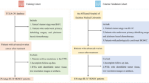 The relationships between glutathione, glutathione-S-transferase and cytotoxicity of platinum drugs and melphalan in eight human ovarian carcinoma cell lines
