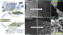 research on transition metal complexes