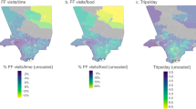 effects of fast food on society research paper