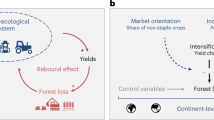 amazon deforestation case study