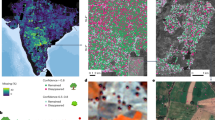 deforestation case study business