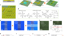 research paper on bipolar transistor