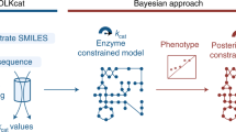 a researcher proposes a model to explain how enzyme substrate a researcher proposes a model to explain how enzyme substrate