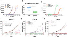 antigen presentation immune system