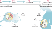 presentation on fetal growth restriction