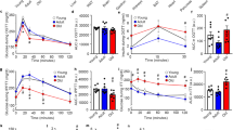 new research on creatine