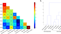 brain activity during problem solving