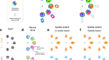 Visual outdoor space perception | Scientific Reports