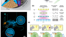 research in neural network