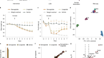 anorexia nervosa research paper