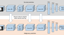 Comparison between vision transformers and convolutional neural ...