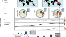 research paper on food security