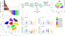 case study of a lung cancer patient