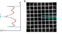 thesis about neural networks thesis about neural networks