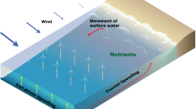 wind turbines for yachts