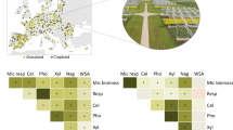 hypothesis to deforestation