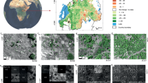 case study on deforestation in india