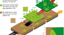 climate change research article