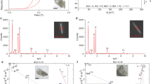 polar wandering magnetism