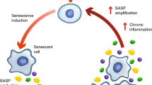 inflammation research