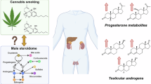 Effects of oral, smoked, and vaporized cannabis on endocrine pathways related to appetite and metabolism: a randomized, double-blind, placebo-controlled, human laboratory study