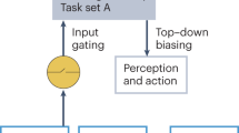 what does research tell us about the use of multitasking