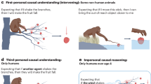 literature review of blue brain literature review of blue brain