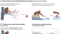 spatial intelligence problem solving