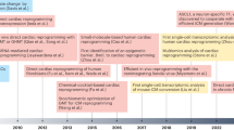 support stem cell research articles