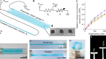 thesis on soft robots