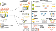 microbiology research studies