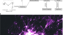 assignment model networks