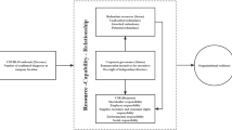 literature review capability model literature review capability model