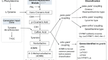Loliolide: green monoterpenoid lactone with therapeutic and ecological ...