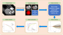 Deep learning-based MRI model for predicting P53-mutated hepatocellular ...