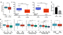 glutathione and colon cancer Relationship between colorectal levels patient survival | Diseases of the & Rectum Flawlessly U Kojic &