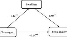 The relationship between loneliness and problematic social media usage ...